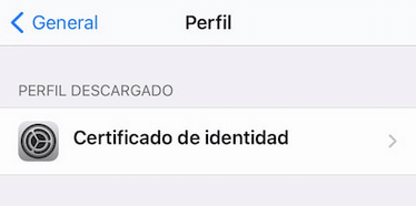 Sin título 2